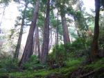 Hiking in Partington Canyon