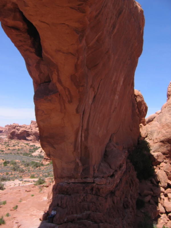 Window Arch