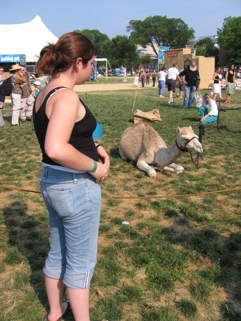 Camel on Mall