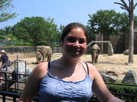 H and Elephants