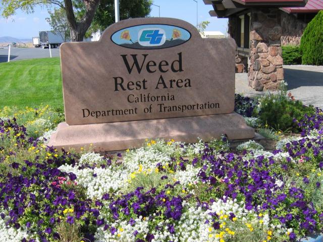 Weed Rest Area