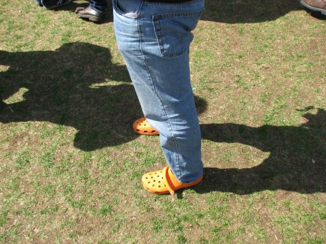 Orange Crocs