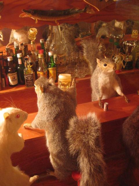 Dead Squirrel Bar