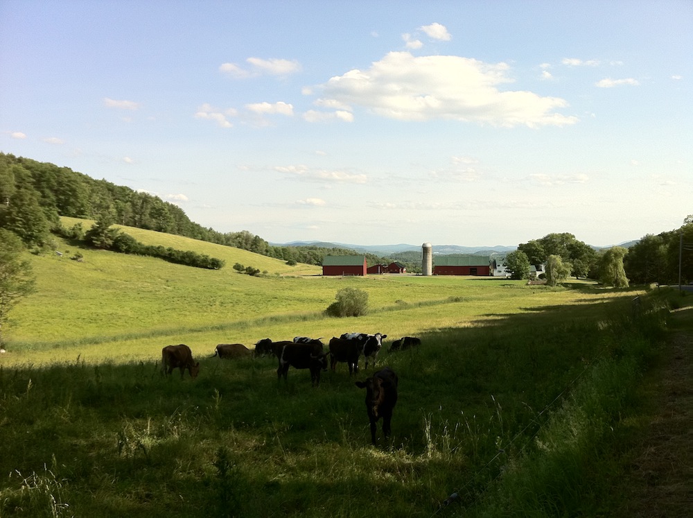 Pastoral Farm