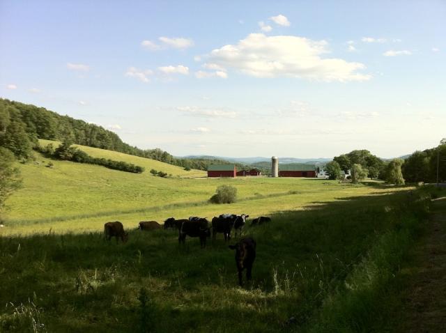 Pastoral Farm