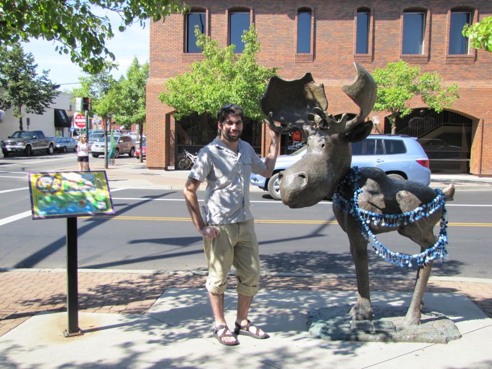 Mungy Moose in Coeur d'Alene