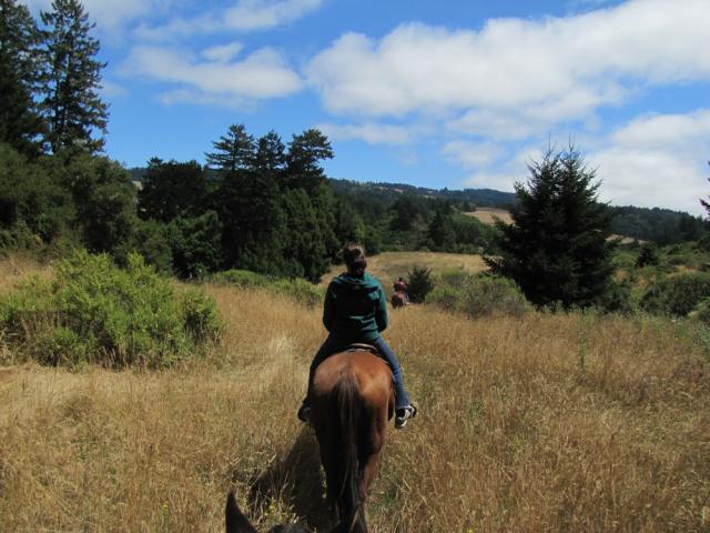 Riding through the golden fields