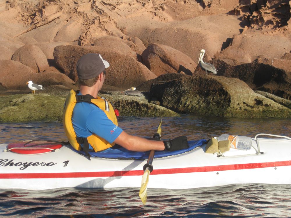 Paddling by pelicans