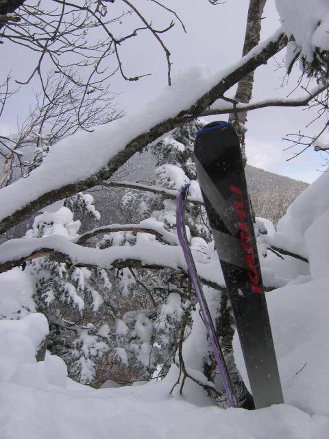 New Skis